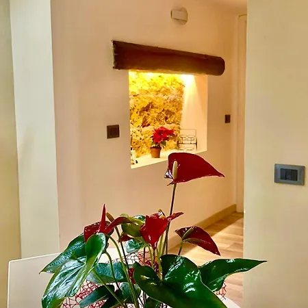Apartment Stationsuite N5 Privata Idromassaggio & Wifi In Centro Vicino Stazione *