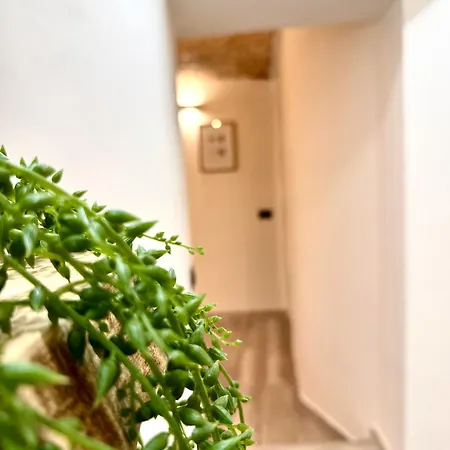 Stationsuite N5 Privata Idromassaggio & Wifi In Centro Vicino Stazione Apartment Palermo